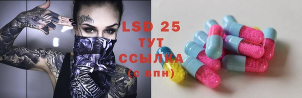 прущие грибы Липки