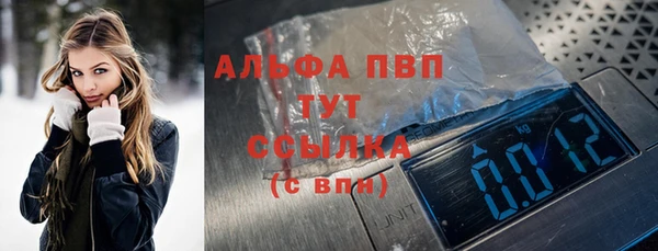 прущие грибы Липки