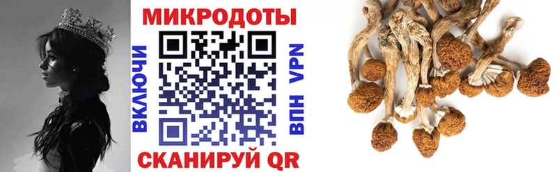 маркетплейс официальный сайт  сколько стоит  Югорск  Галлюциногенные грибы прущие грибы 