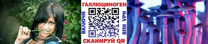 Псилоцибиновые грибы Cubensis Югорск