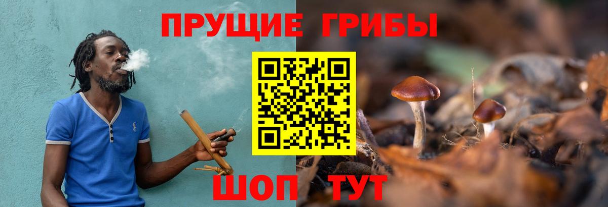 Югорск  Псилоцибиновые грибы MAGIC MUSHROOMS  Вход с VPN 
