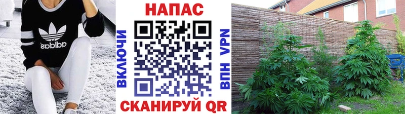 МЕГА зеркало  Югорск  Бошки марихуана гибрид  цена наркотик 