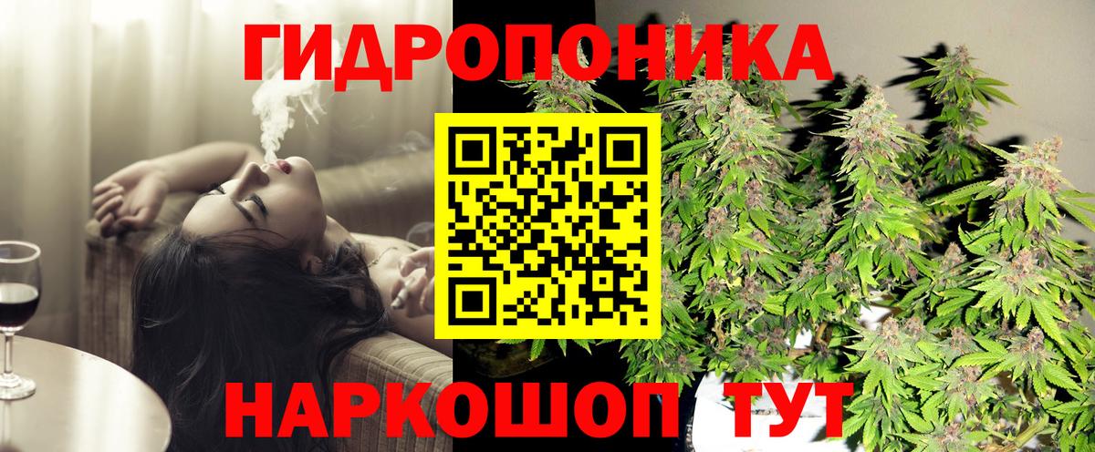 Бошки марихуана Bruce Banner  Вход с VPN  МАРИХУАНА тримм  Бошки Шишки Amnesia  Югорск 
